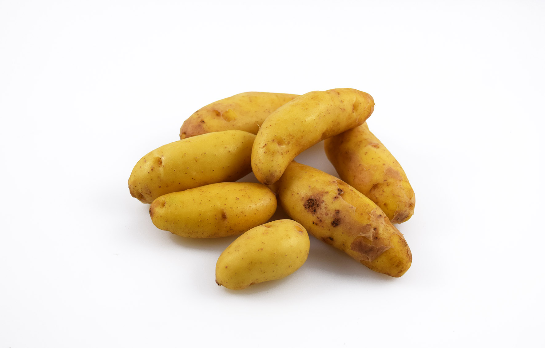 Potatis Ratte Små Tvättad