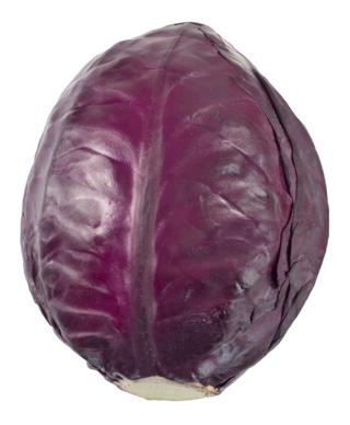 Rödkål Sverige