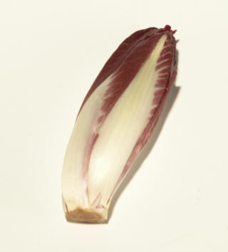 Sallat Endive Röd Klass 1
