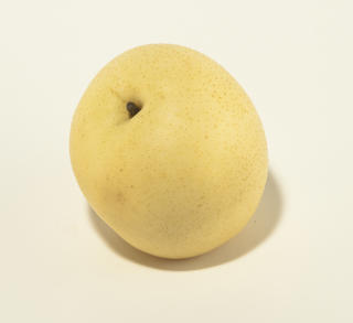 Päron Nashi Klass 1