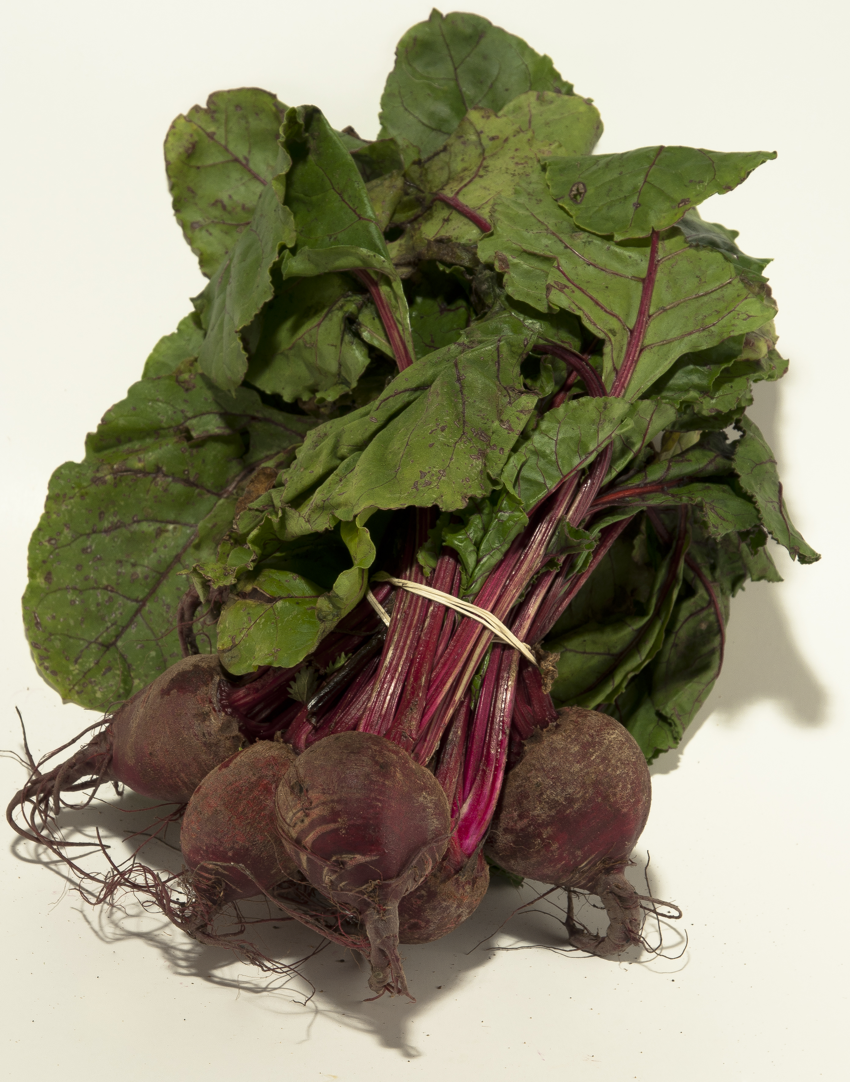 Rödbeta i Knippe Klass 1