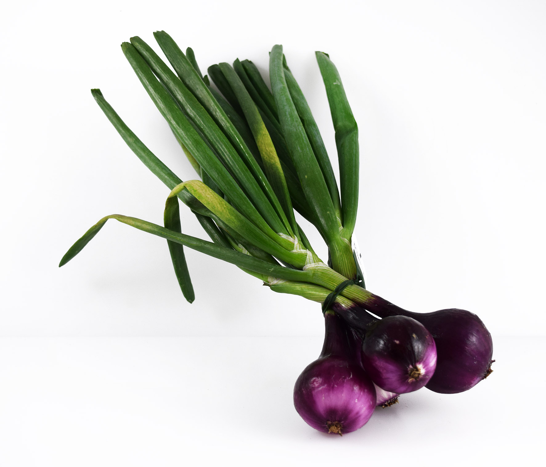 Knipplök Röd Klass 1