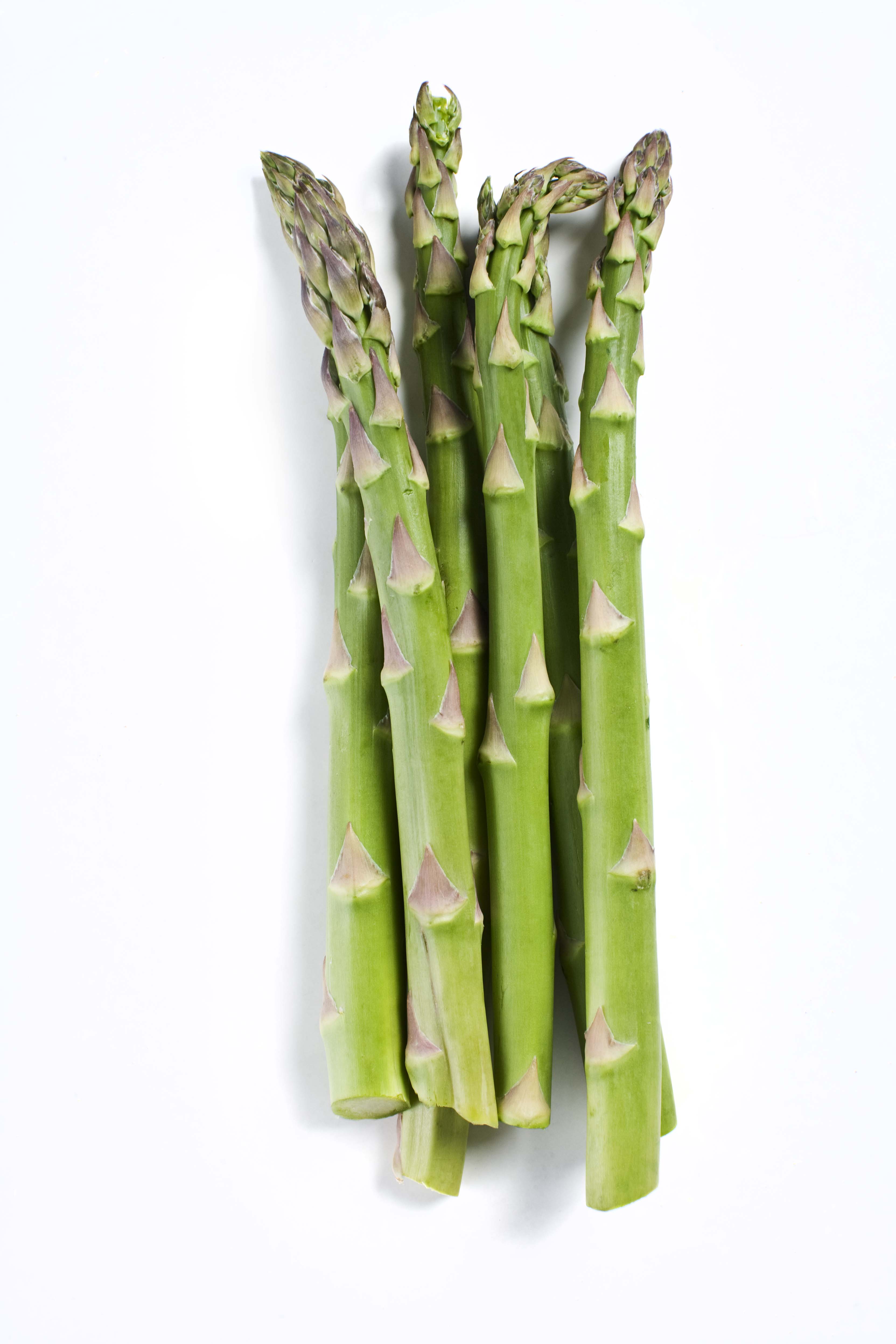 Sparris Grön Grov Gotland