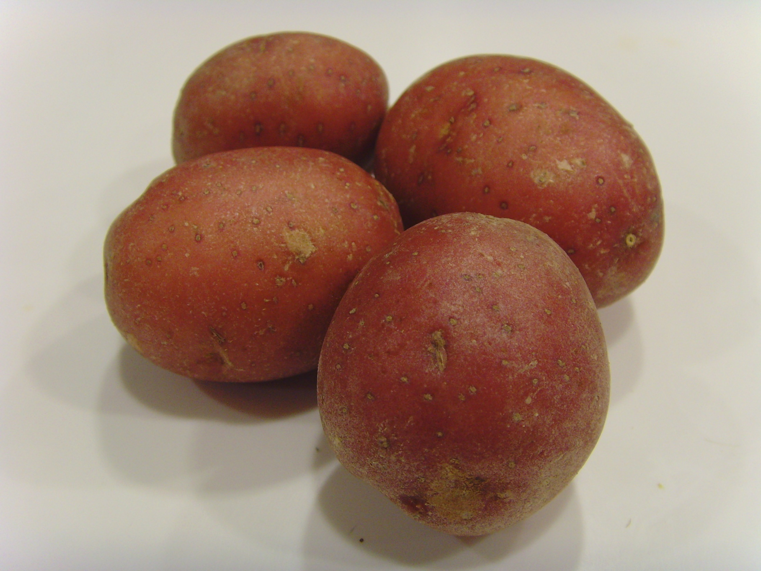 Körsbärspotatis Tvättad