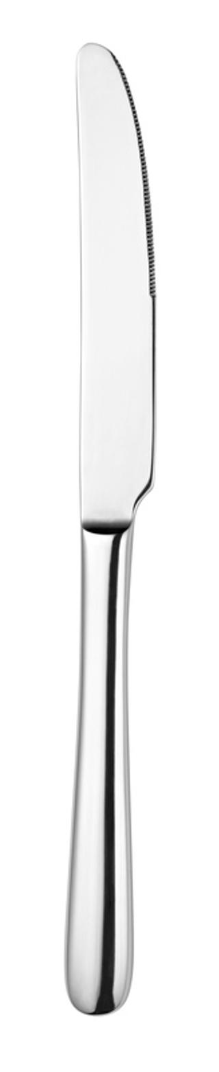 Dune bordskniv 18/10 223mm