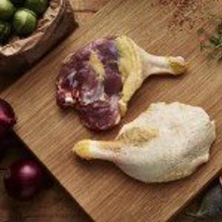 Anklår Hane Barbarie