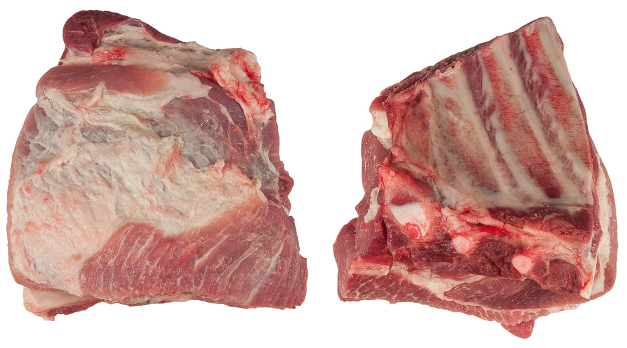 Bogrevben utan Bröstben Sverige