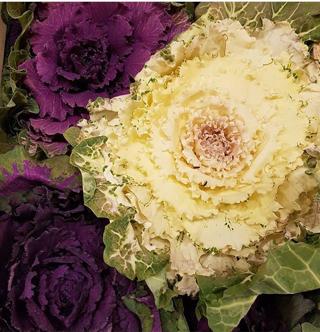 Blomma Garneringskål