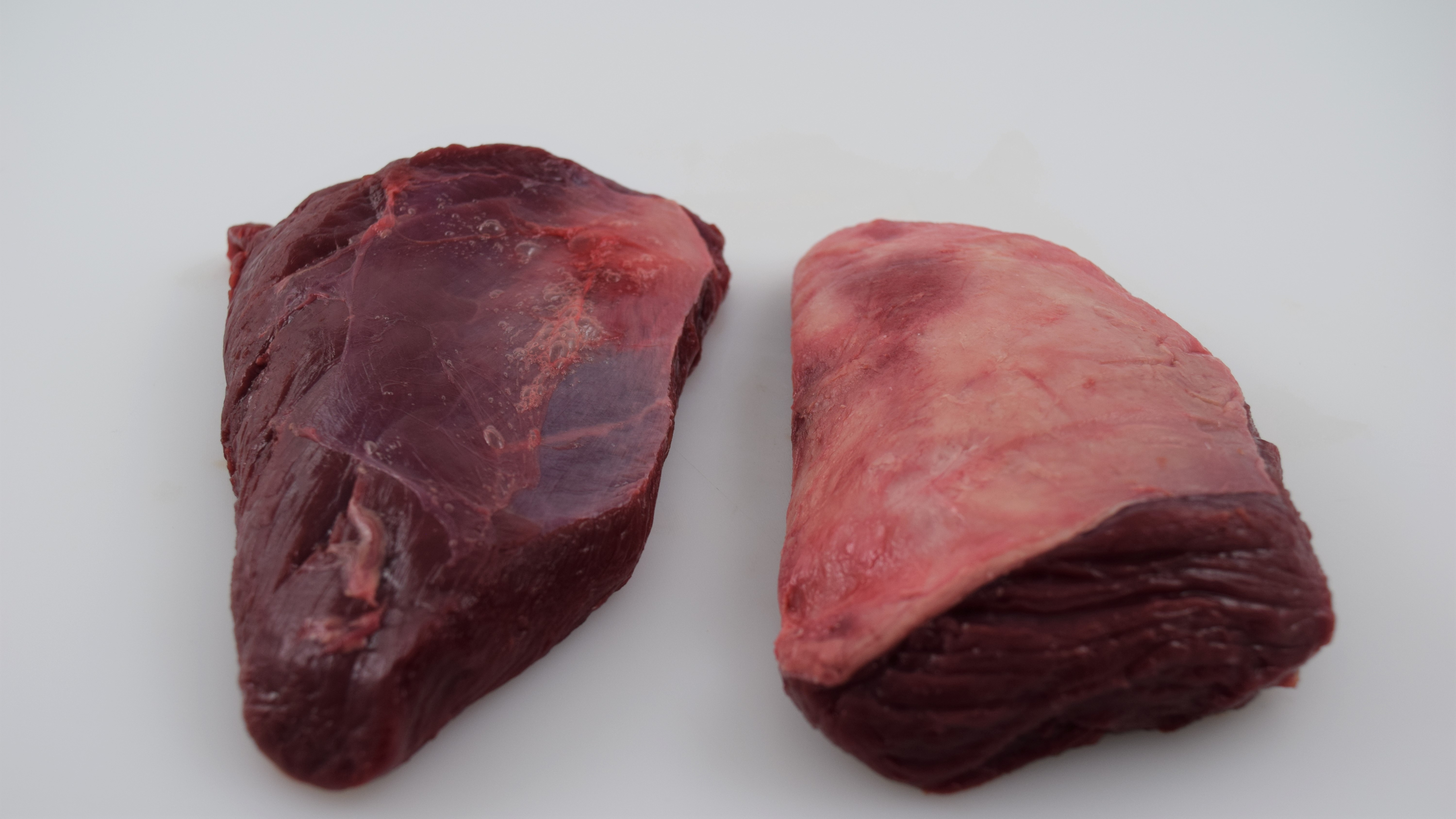 Tri-tip små Hjort Nya Zeeland