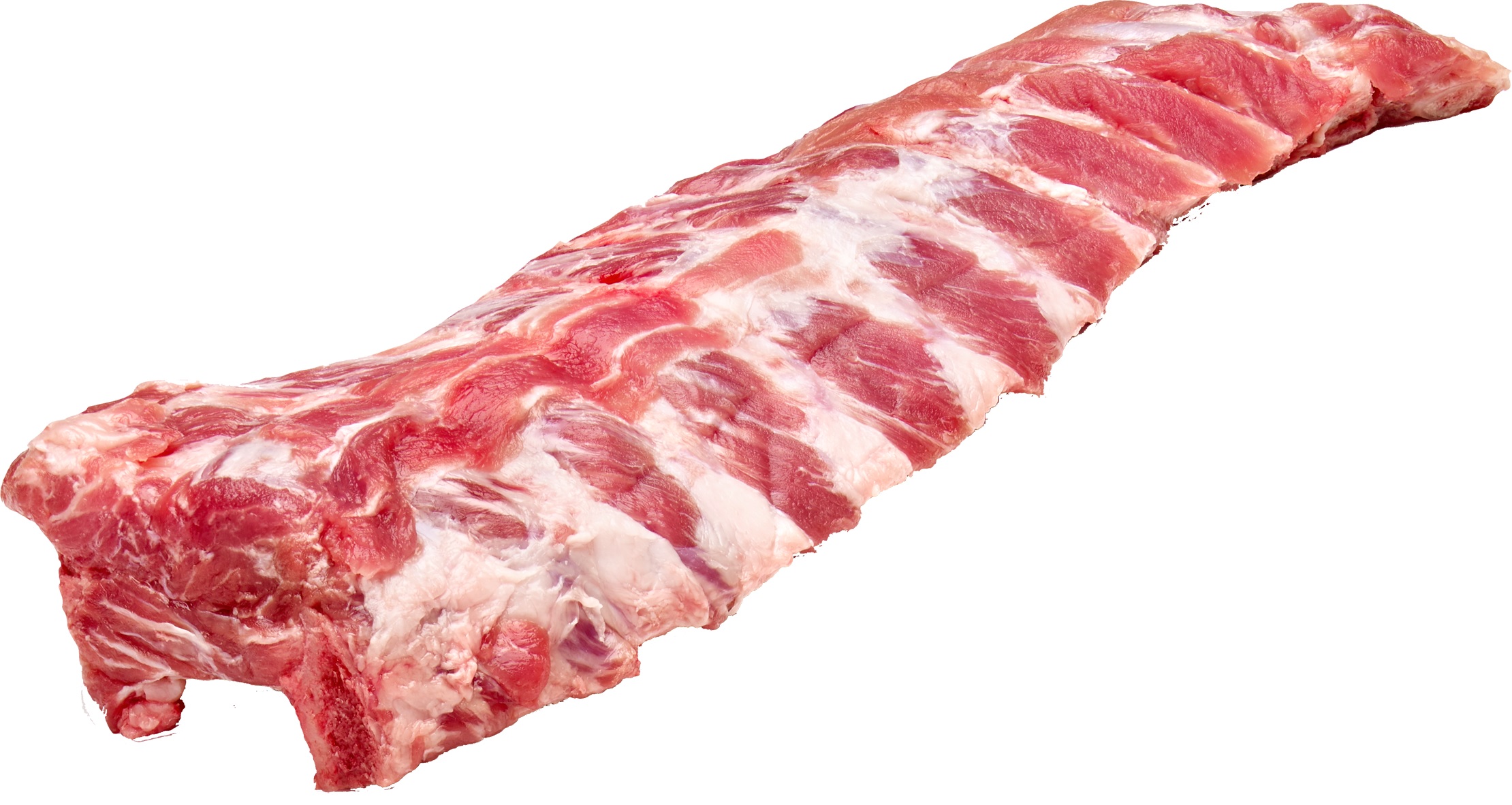 Kamben Smala Sverige