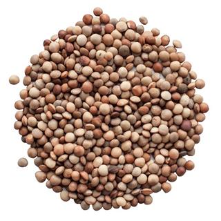 Gotlandslinser EKO KRAV