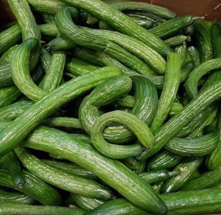 Gurka Pepelino Klass 1 Sverige