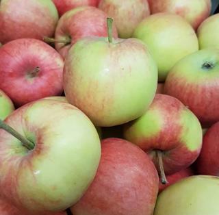 Äpple Nanna Klass 1 Sverige