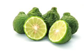 Kaffir Lime