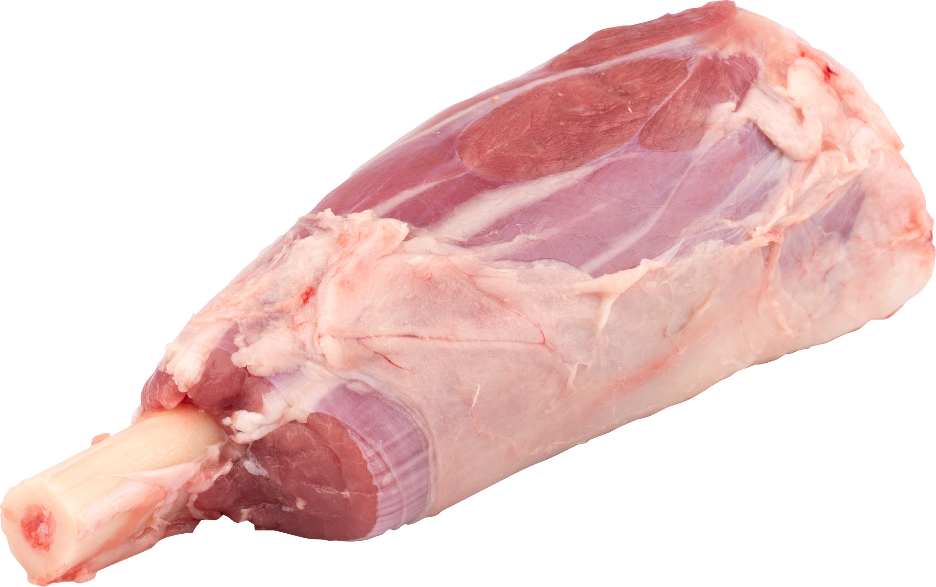 Lammlägg med Ben Sverige