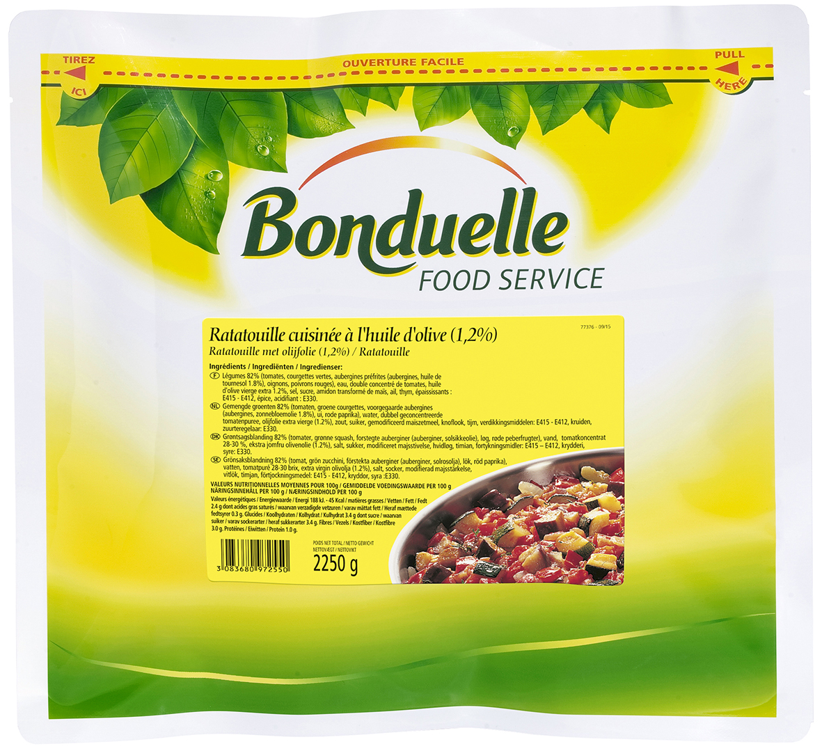 Ratatouille Easy Bag