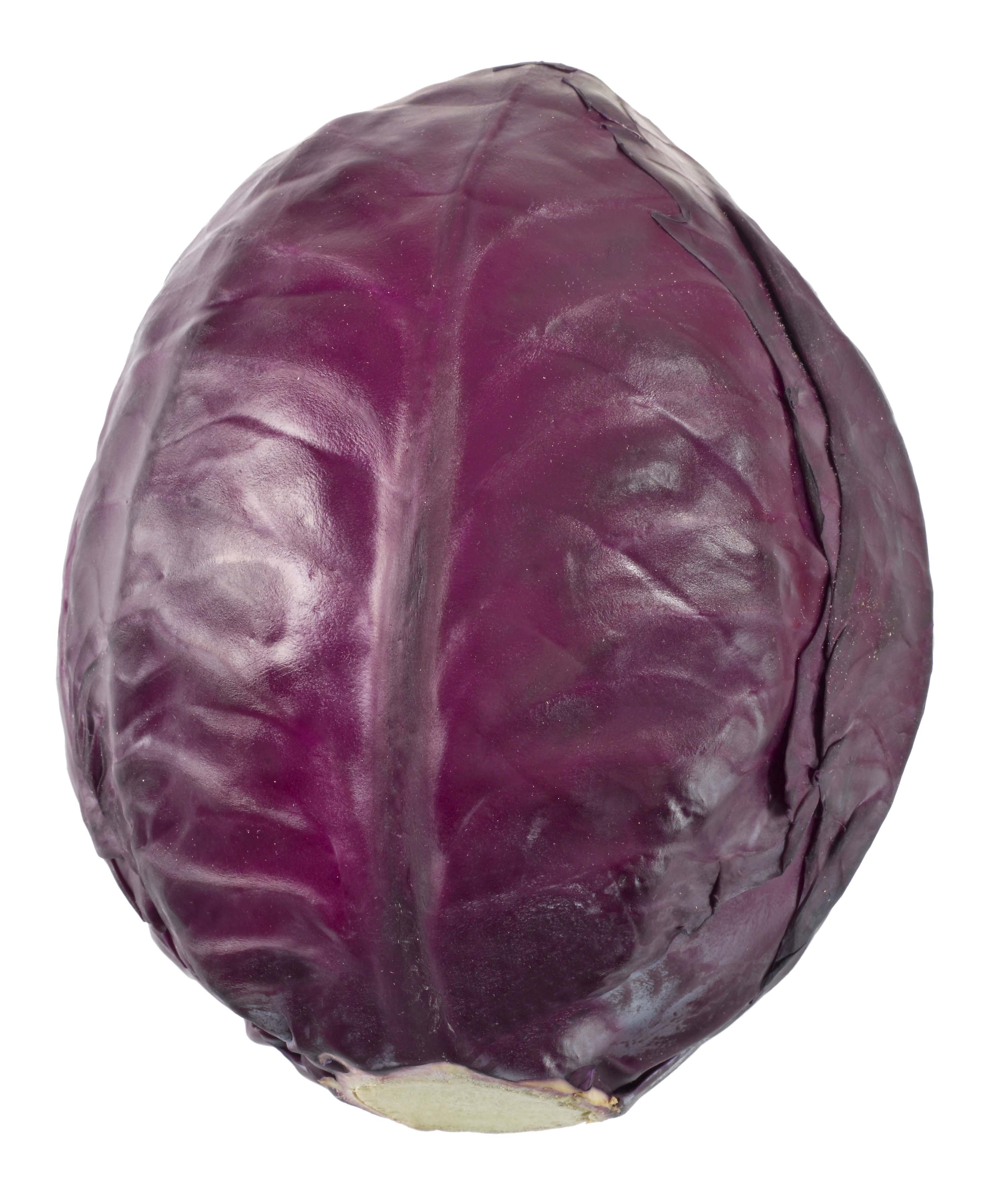 Rödkål