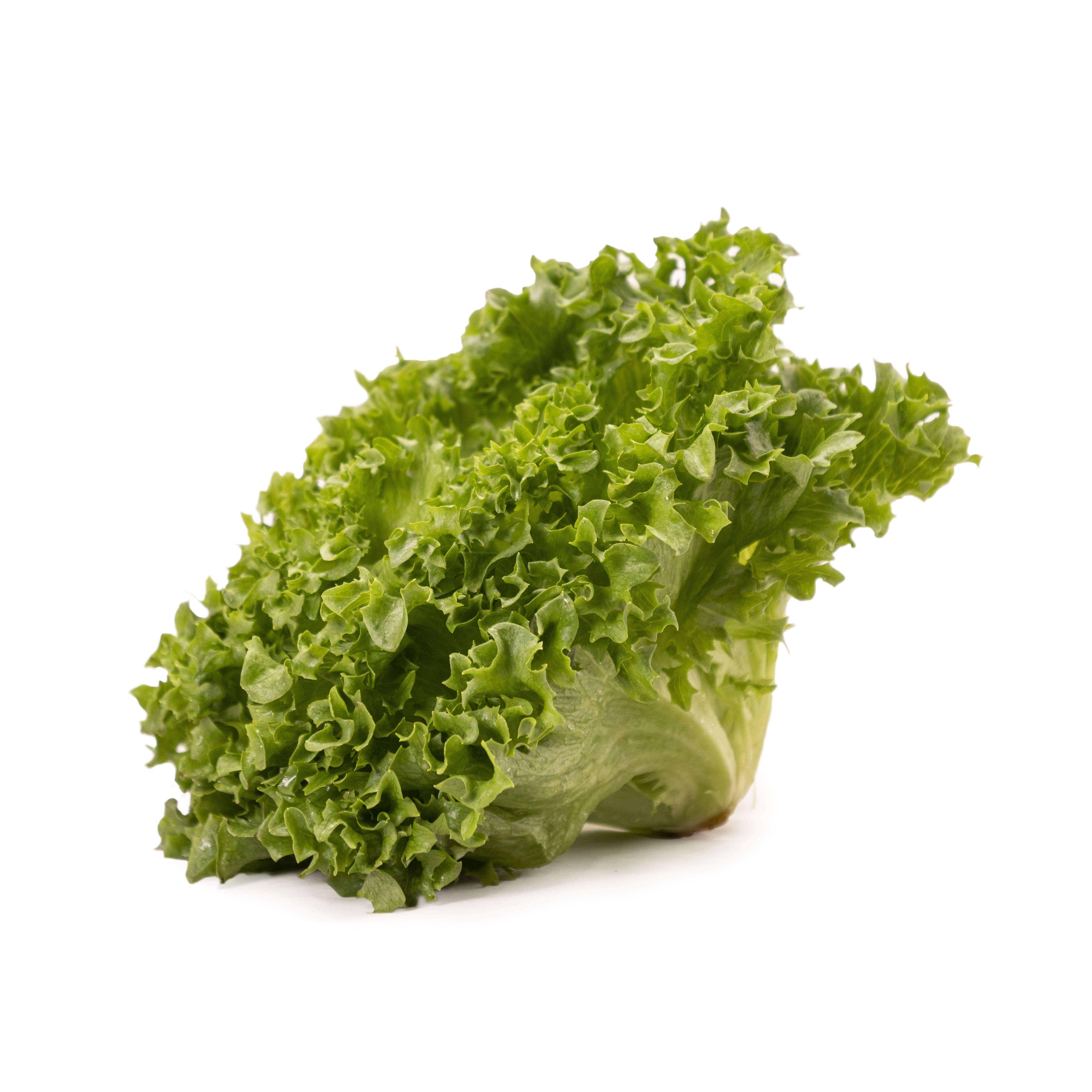 Krispsallat Klass 1 Sverige