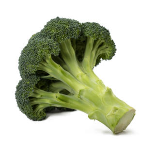 Broccoli