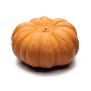 Muscatpumpa
