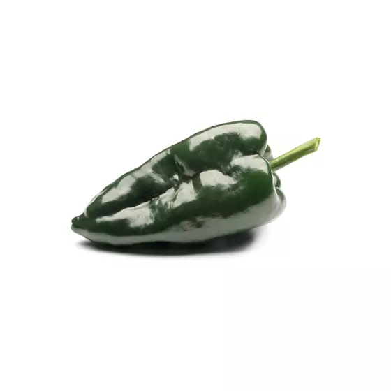 Peppar Poblano