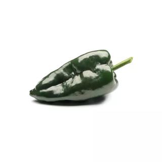 Peppar Poblano