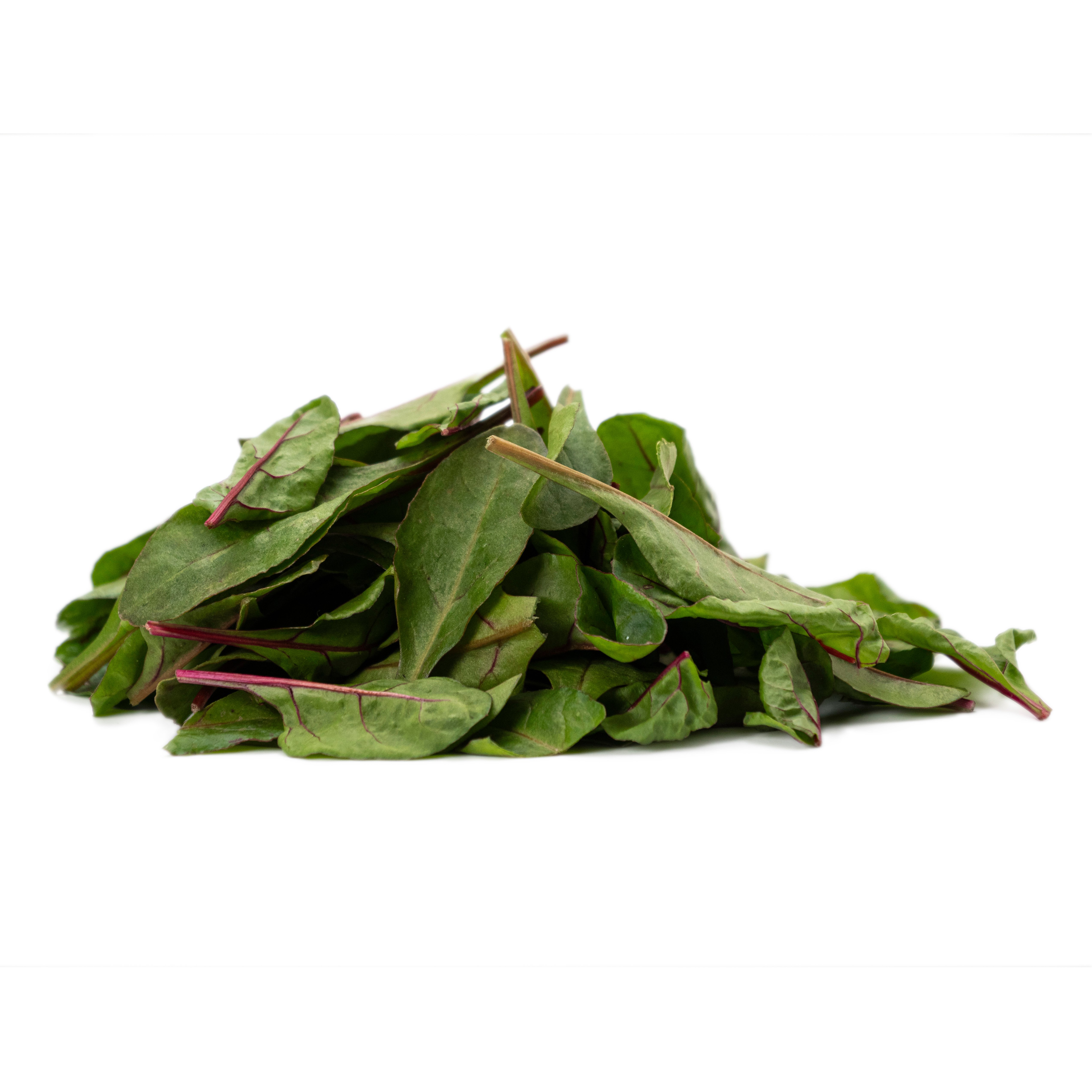 Mangoldskott Röda 250g