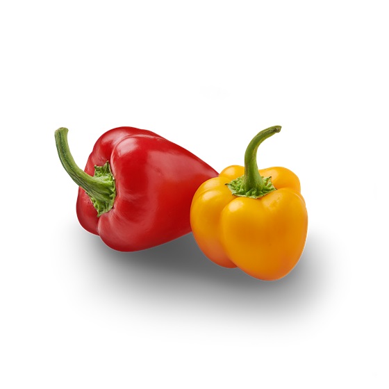 Mini Paprika Gul