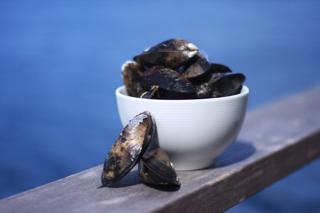 Blåmussla i Skal Kokta ASC