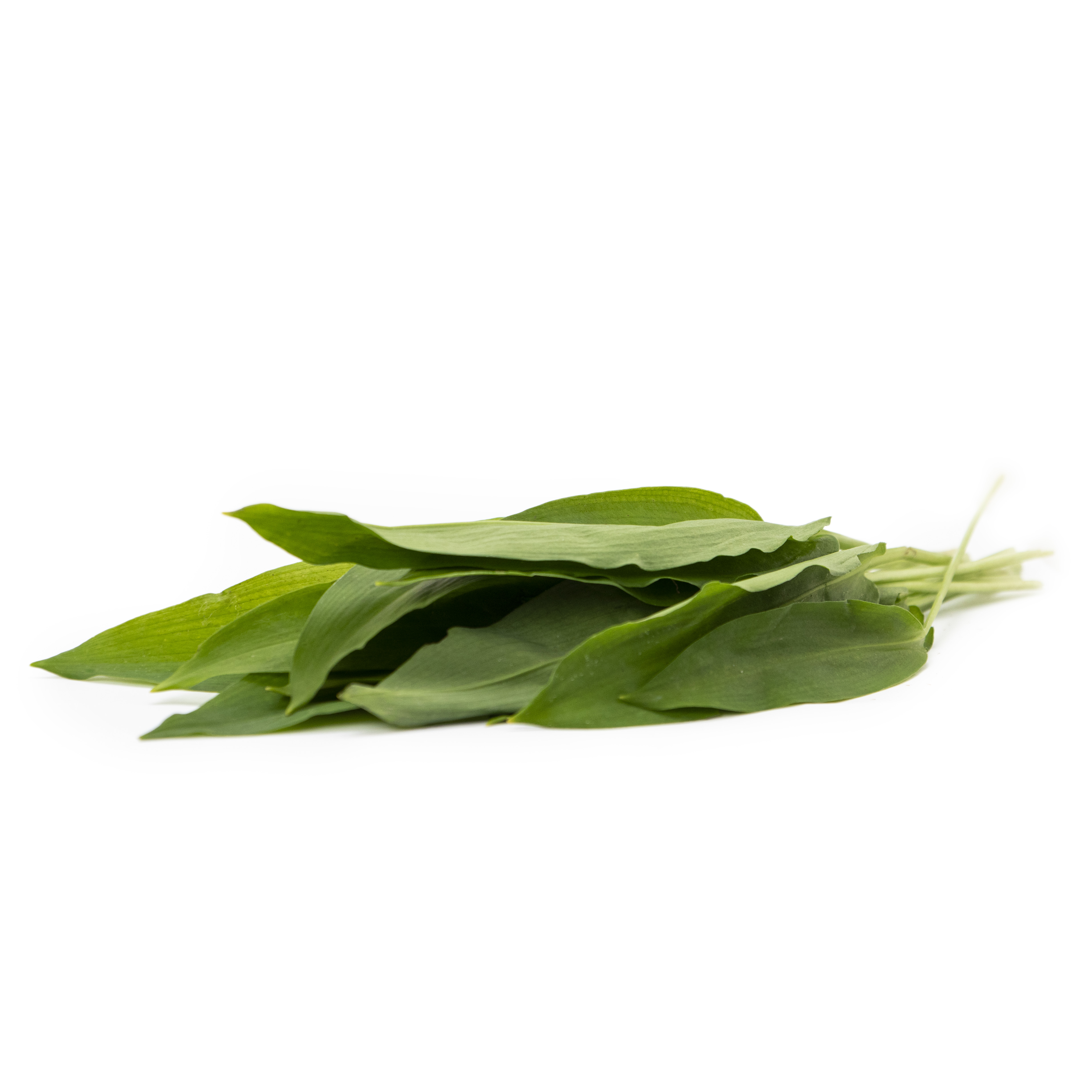 Ramslök EKO KRAV Sverige