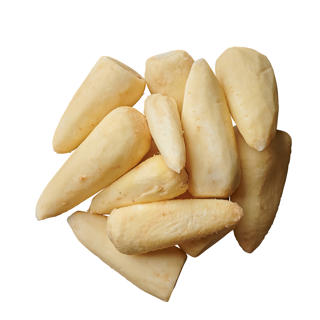 Palsternacka Skalad EKO