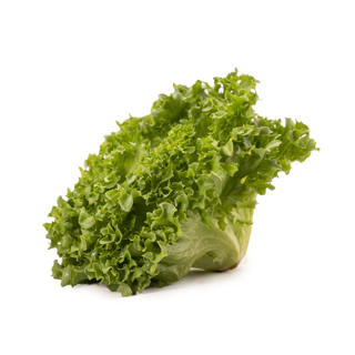 Krispsallat Frillice Klass 1