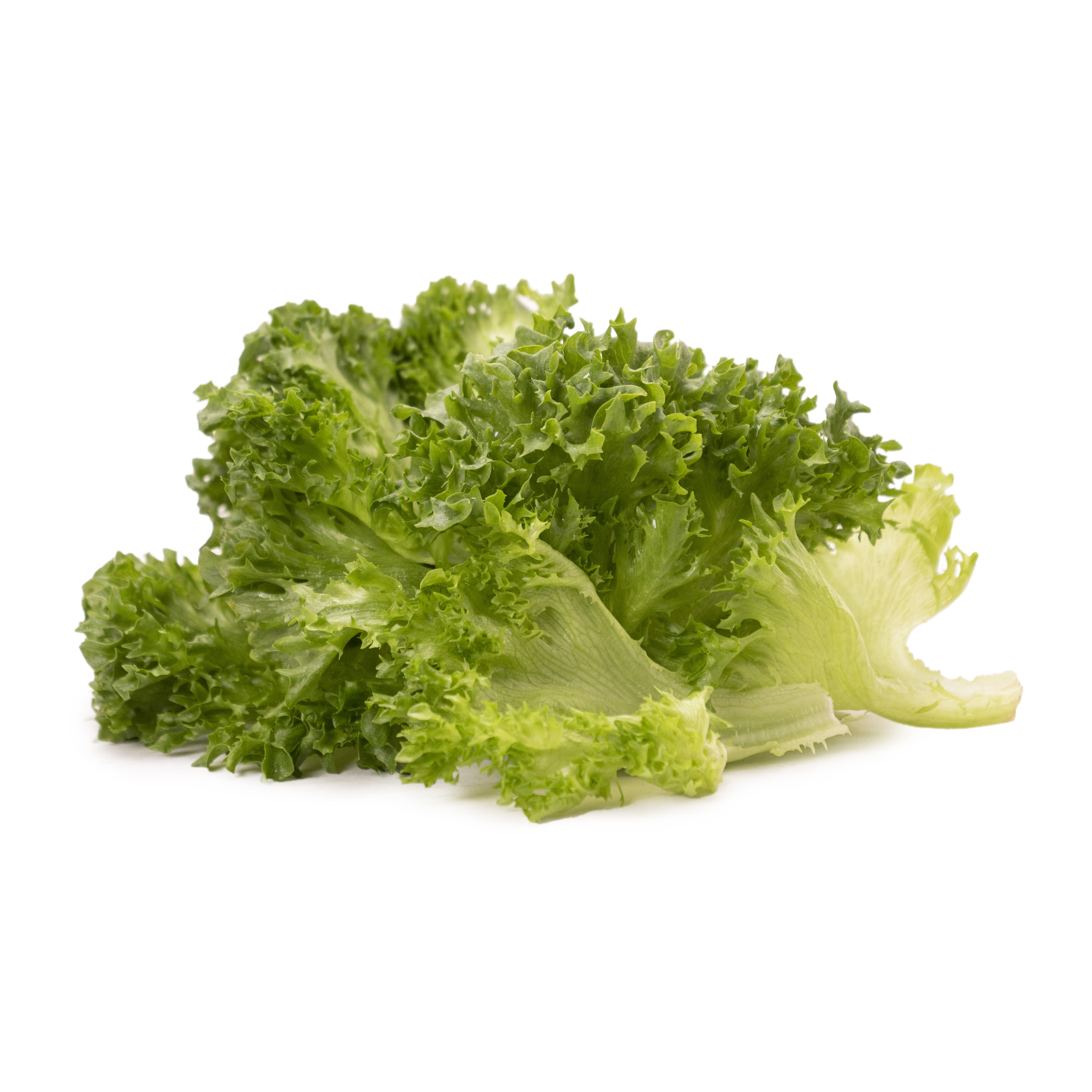 Krispsallatsblad i Lösvikt Klass 1 Sverige