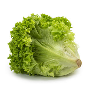 Sallat Lollo Biondo Klass 1