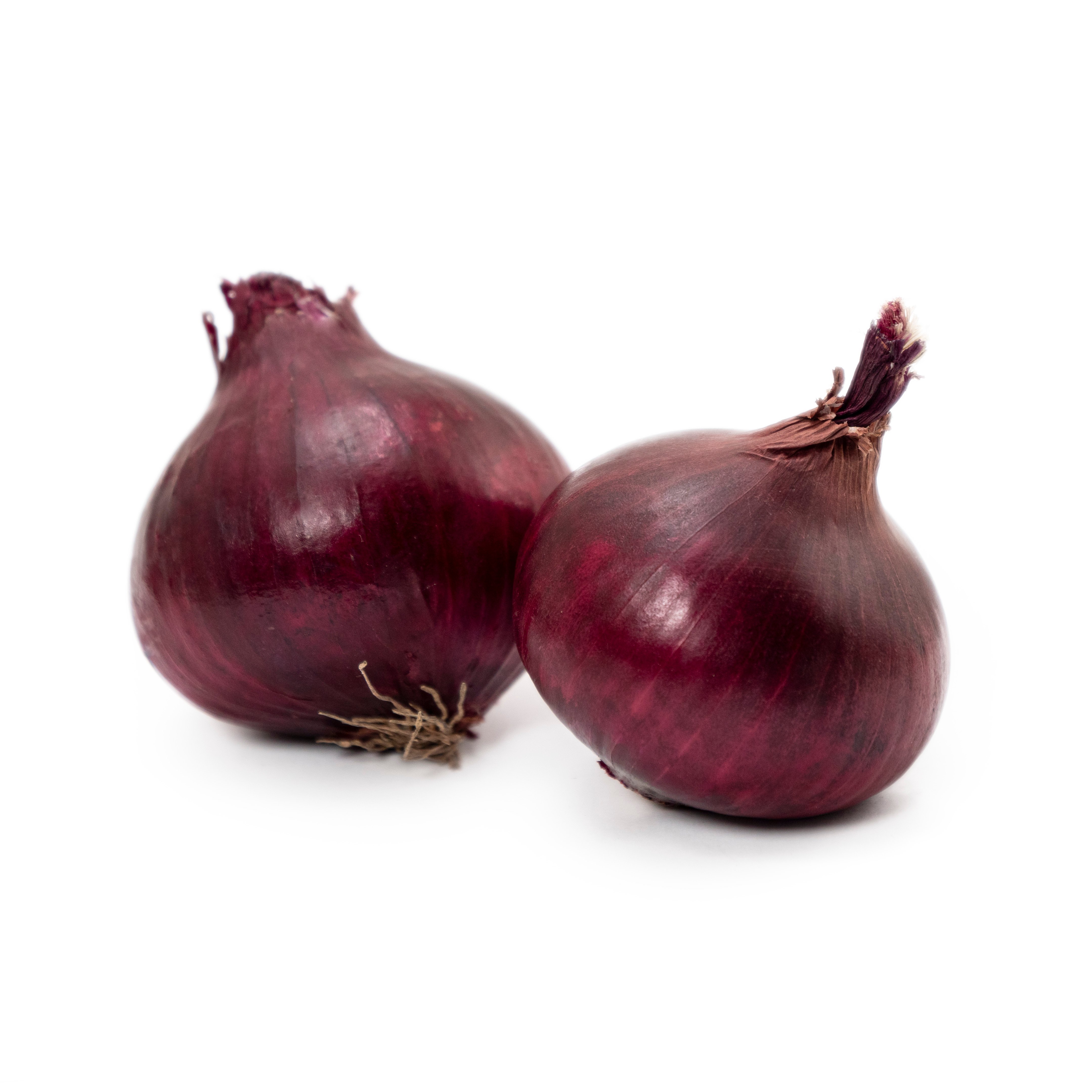 Rödlök i Nät Klass 1