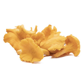 Kantareller Mini Sverige