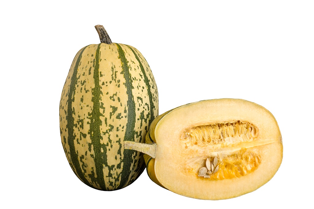 Spaghettipumpa Sverige