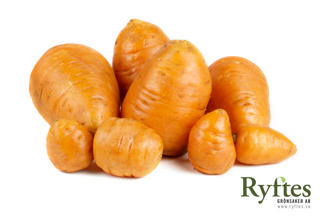 Morot Rund Klass 1 Sverige