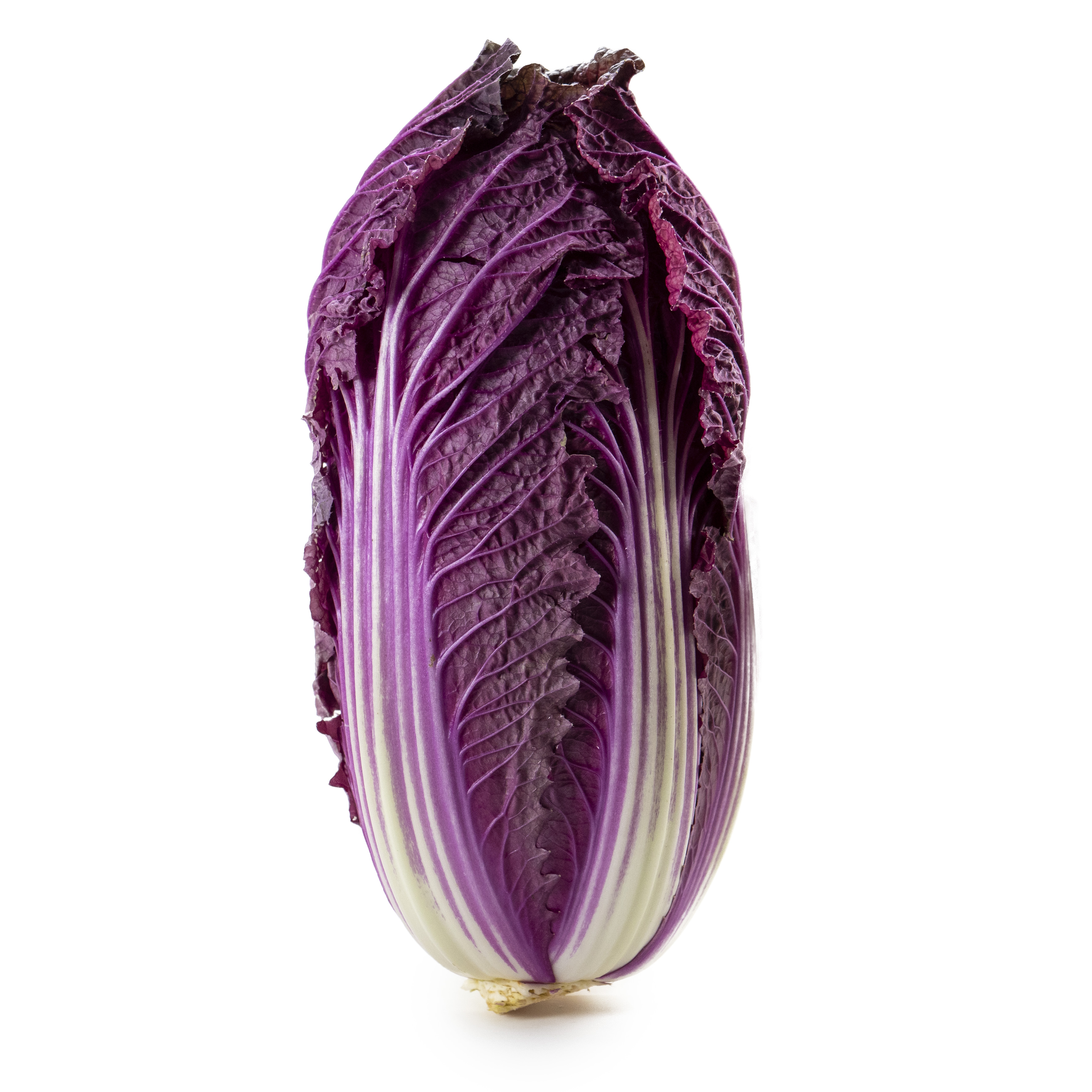 Salladskål Sallarossa Sverige