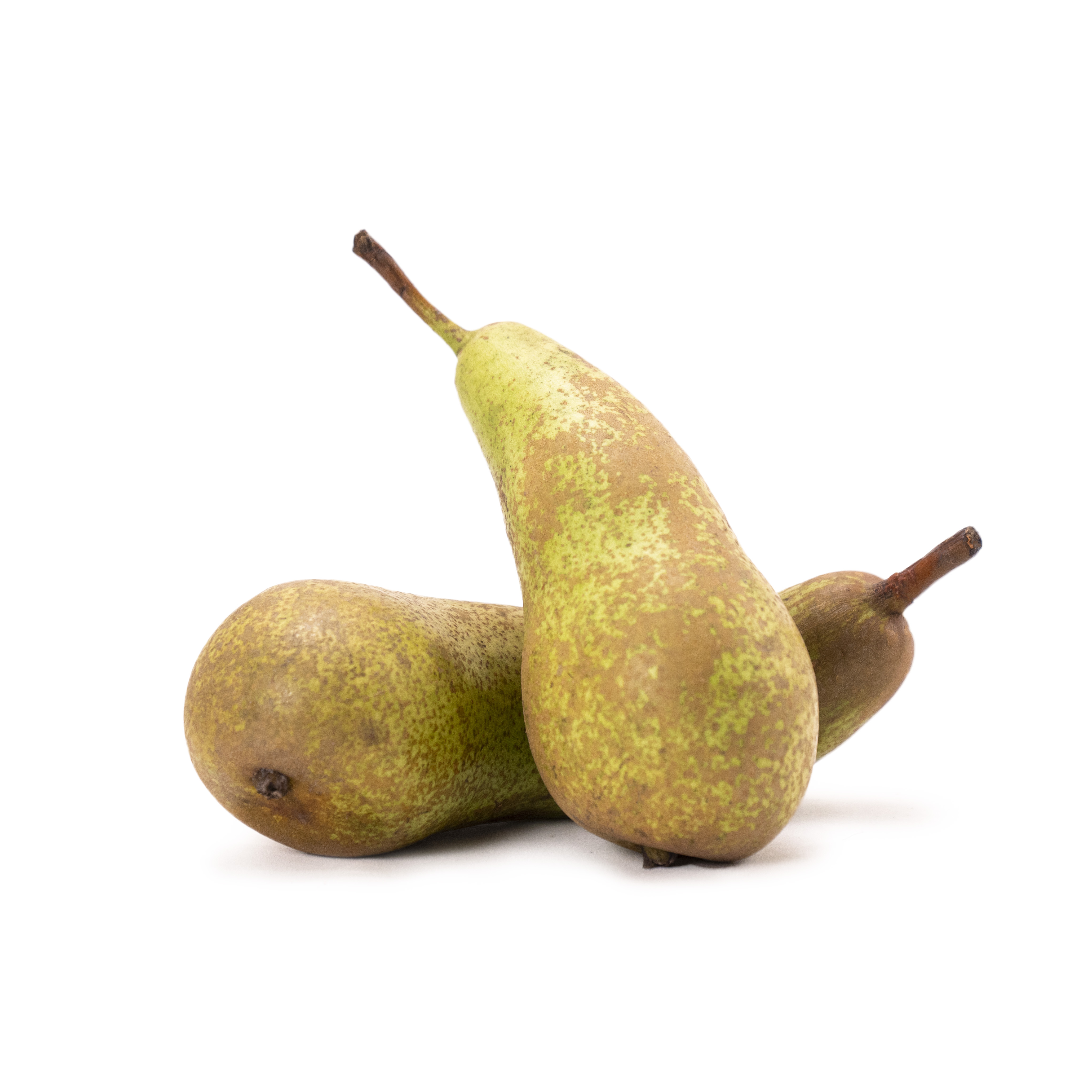 Päron Conference Stor 1-lav  Klass 1