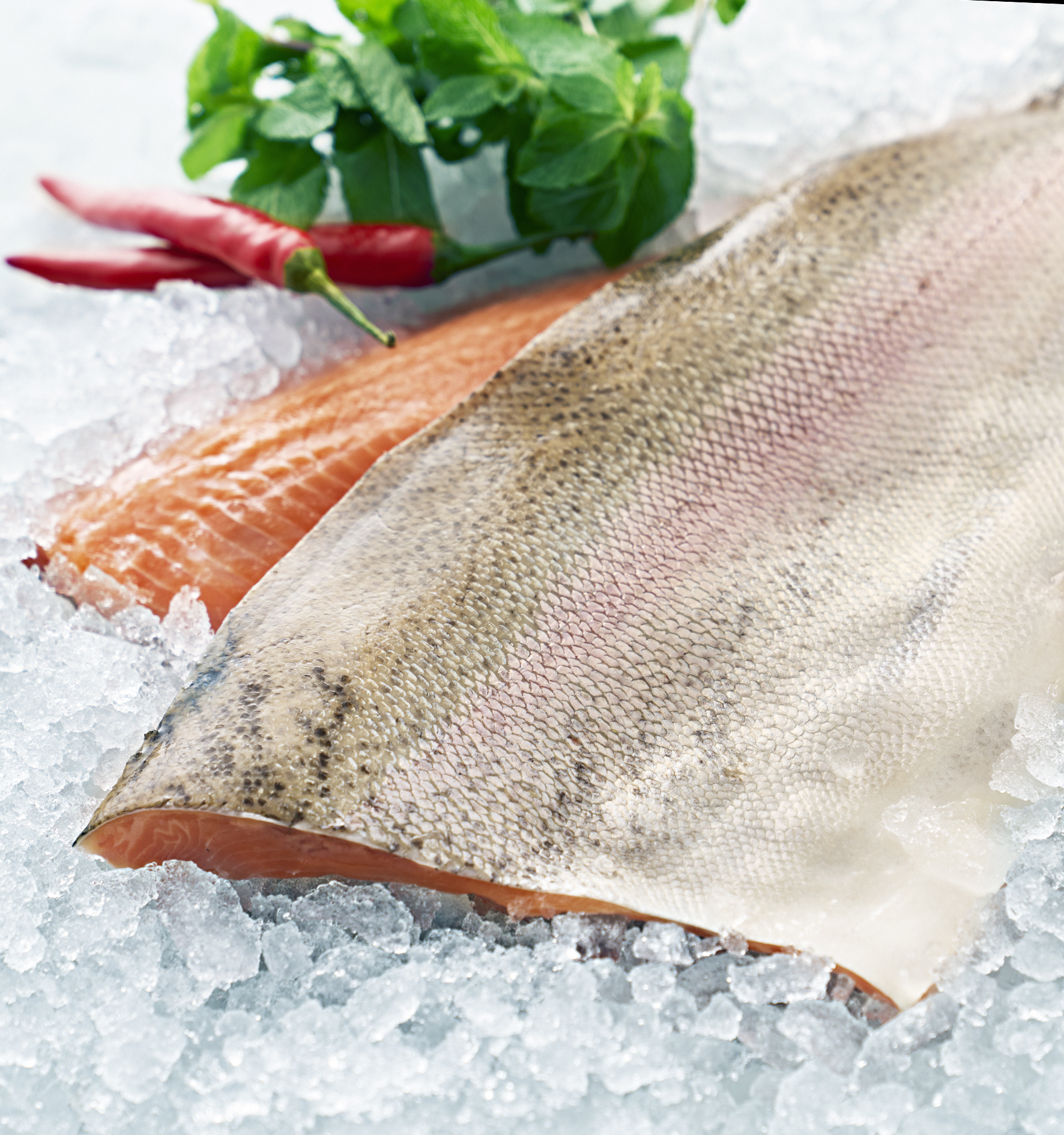 Regnbågsfilé Benfri