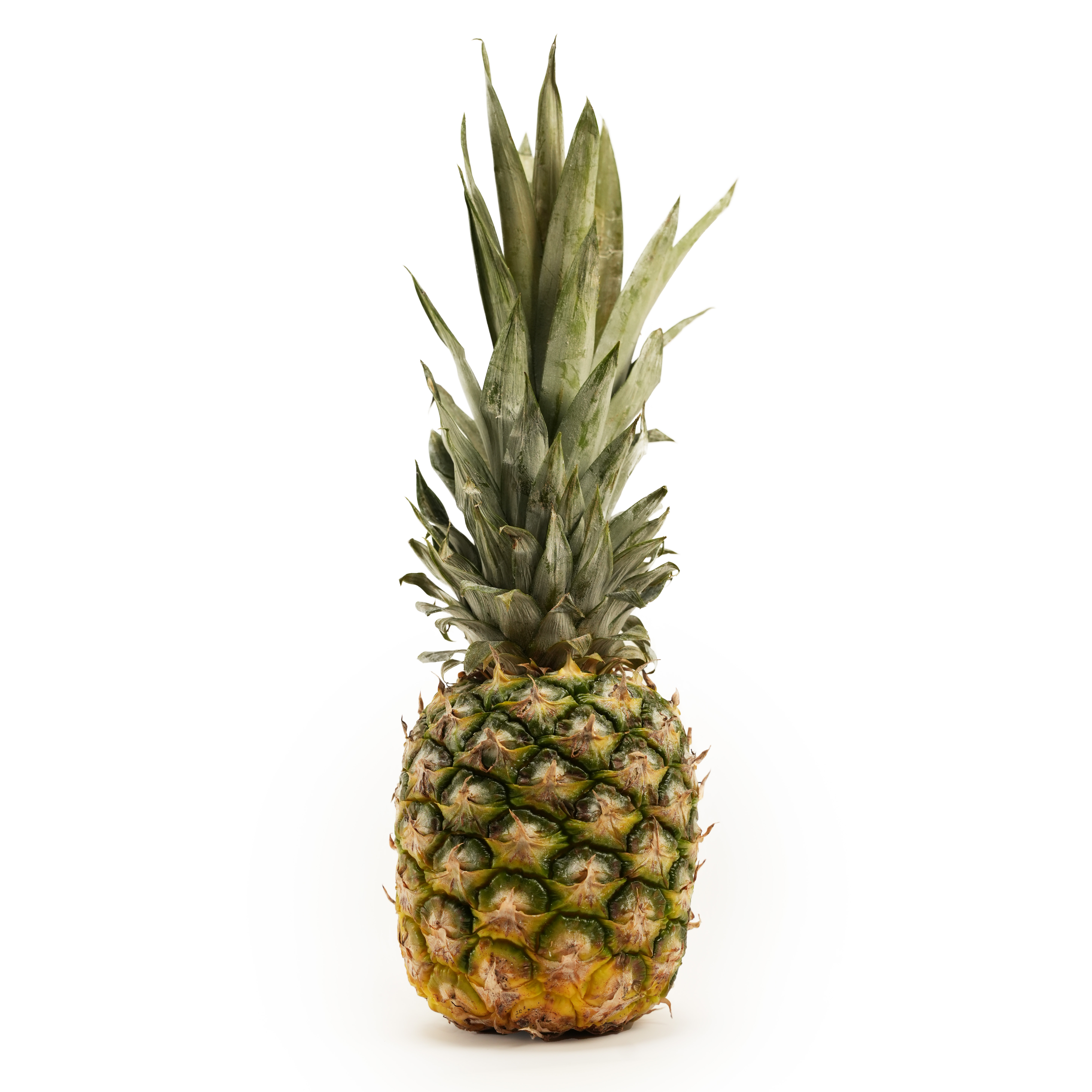 Ananas EKO