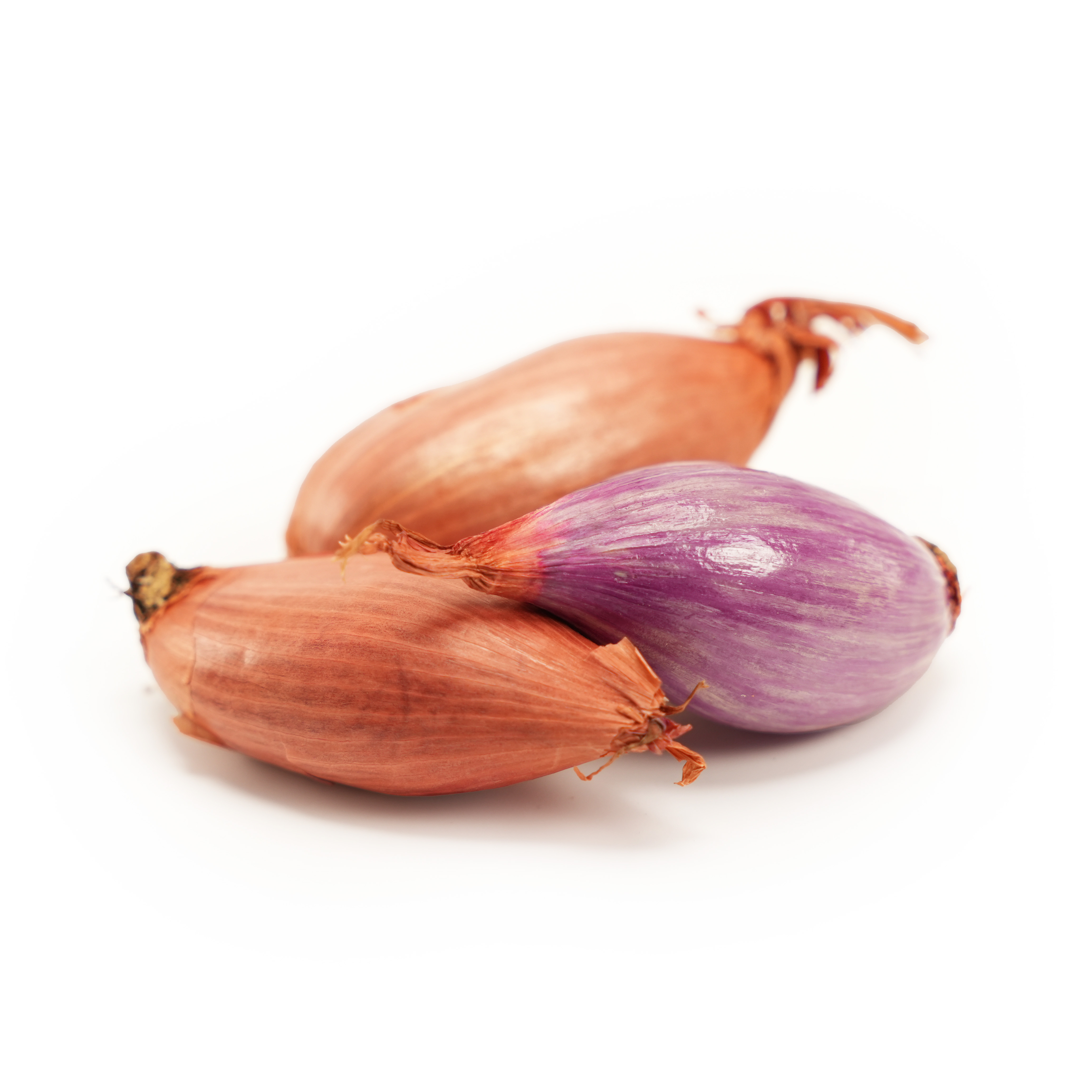 Bananschalottenlök Klass 1