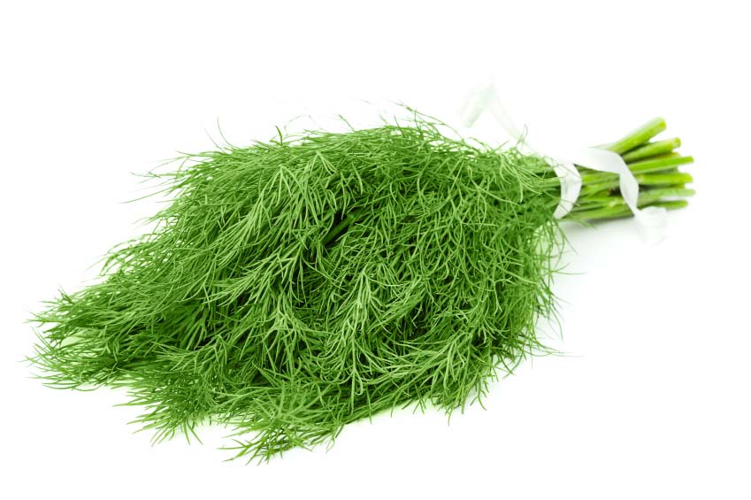 Dill i Polypac