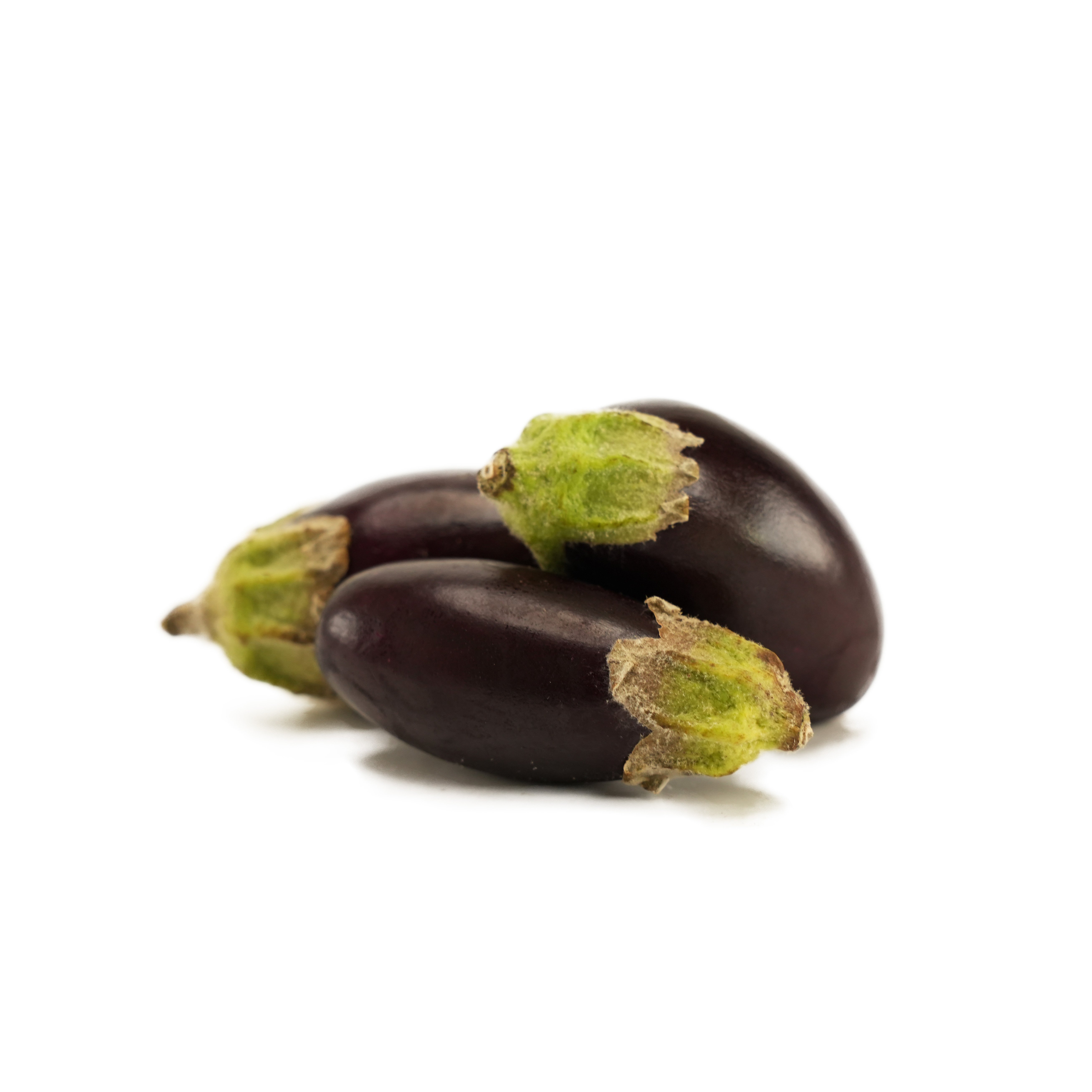 Aubergine Lila Mini