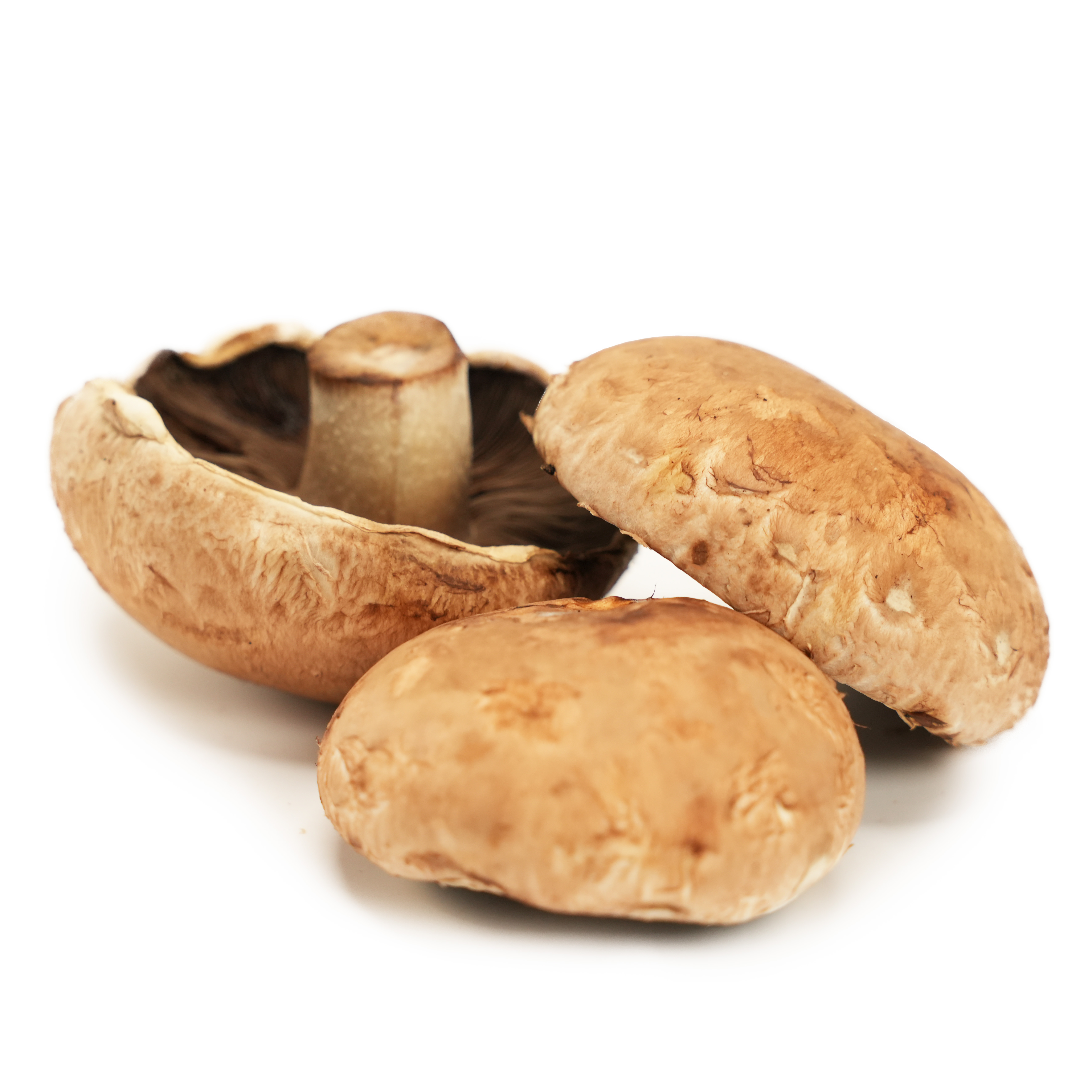 Portabello EKO KRAV Sverige