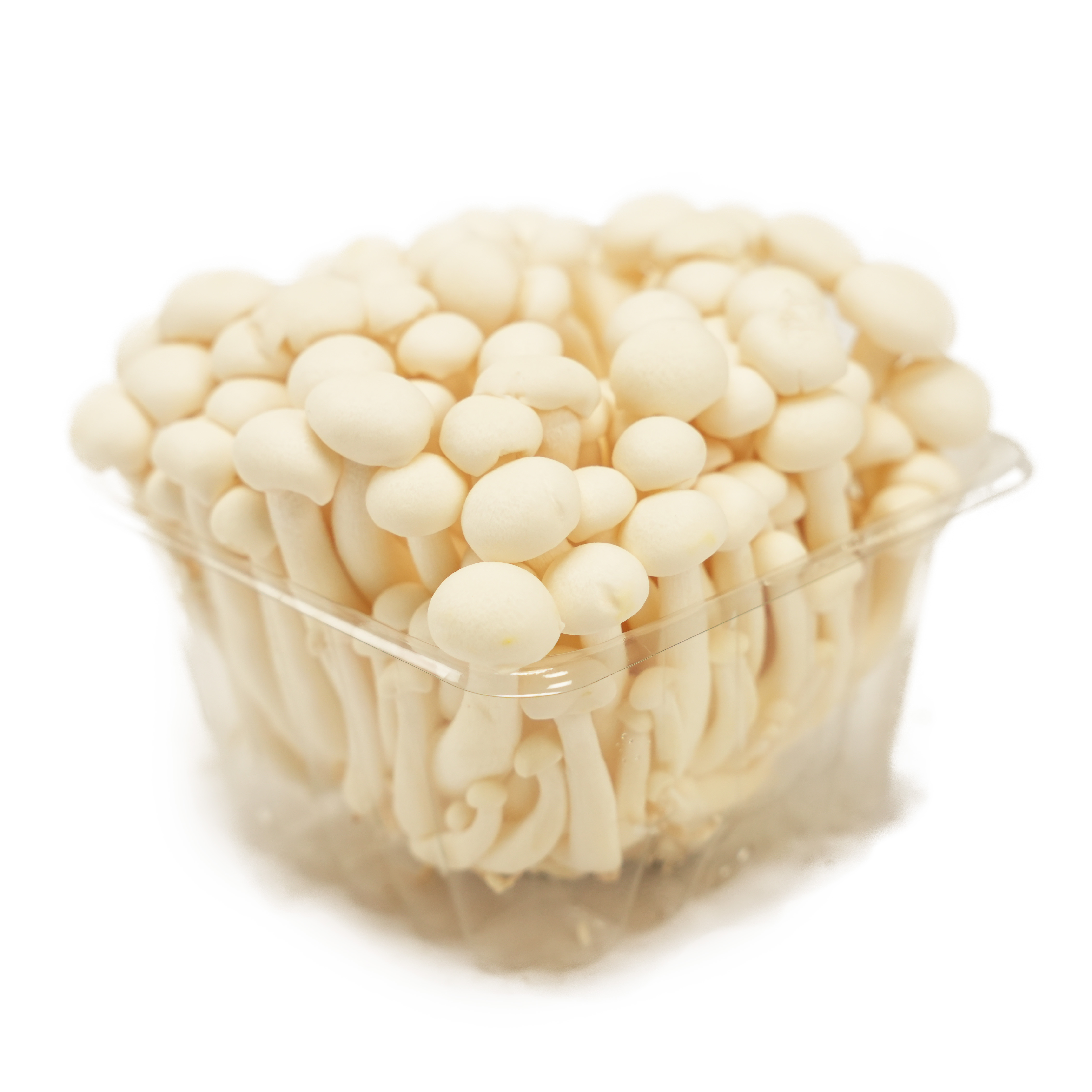 Svamp Shimeji Vit i Ask