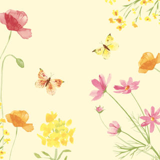 Servett Dunisoft 40x40cm Poppy Field