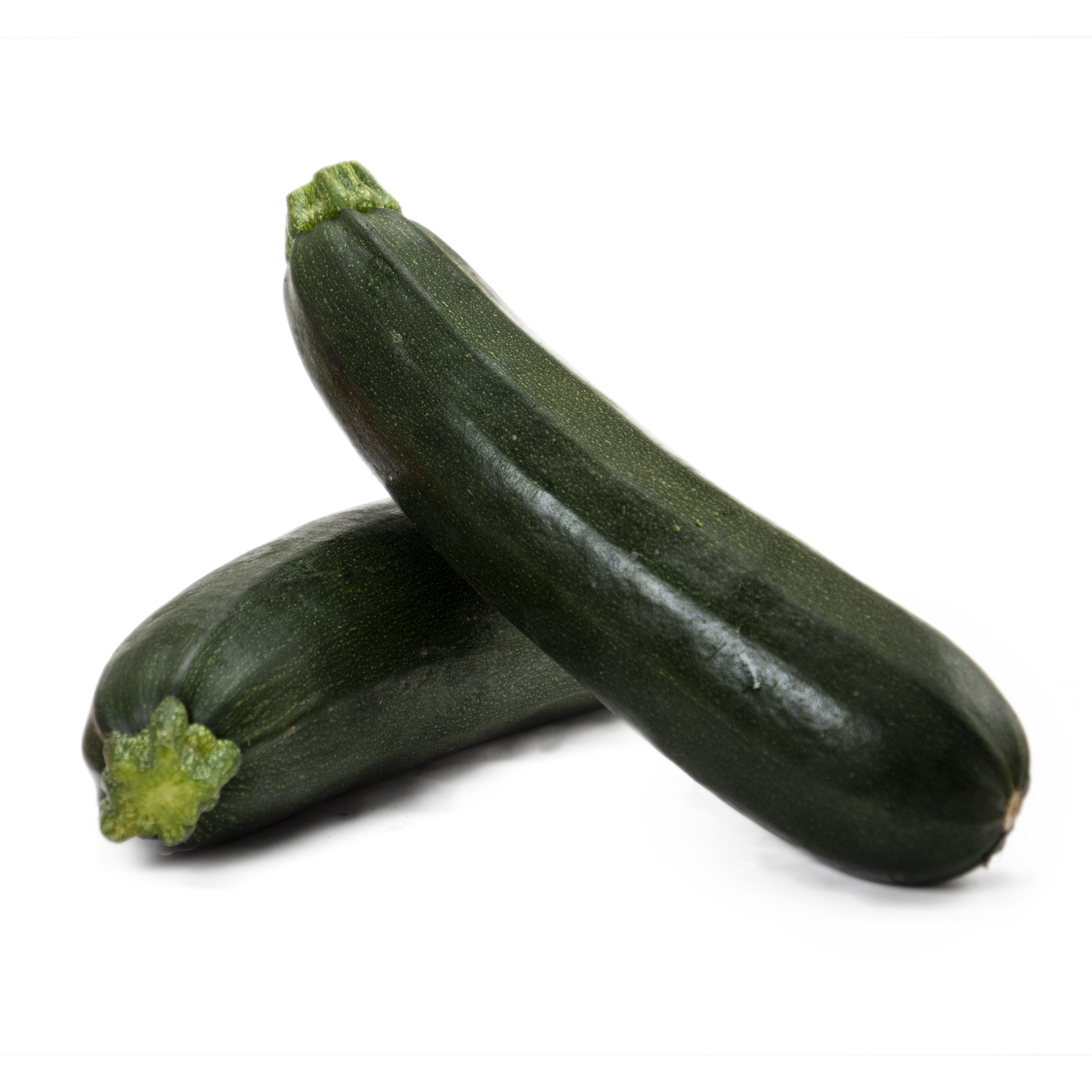 Zucchini Basic