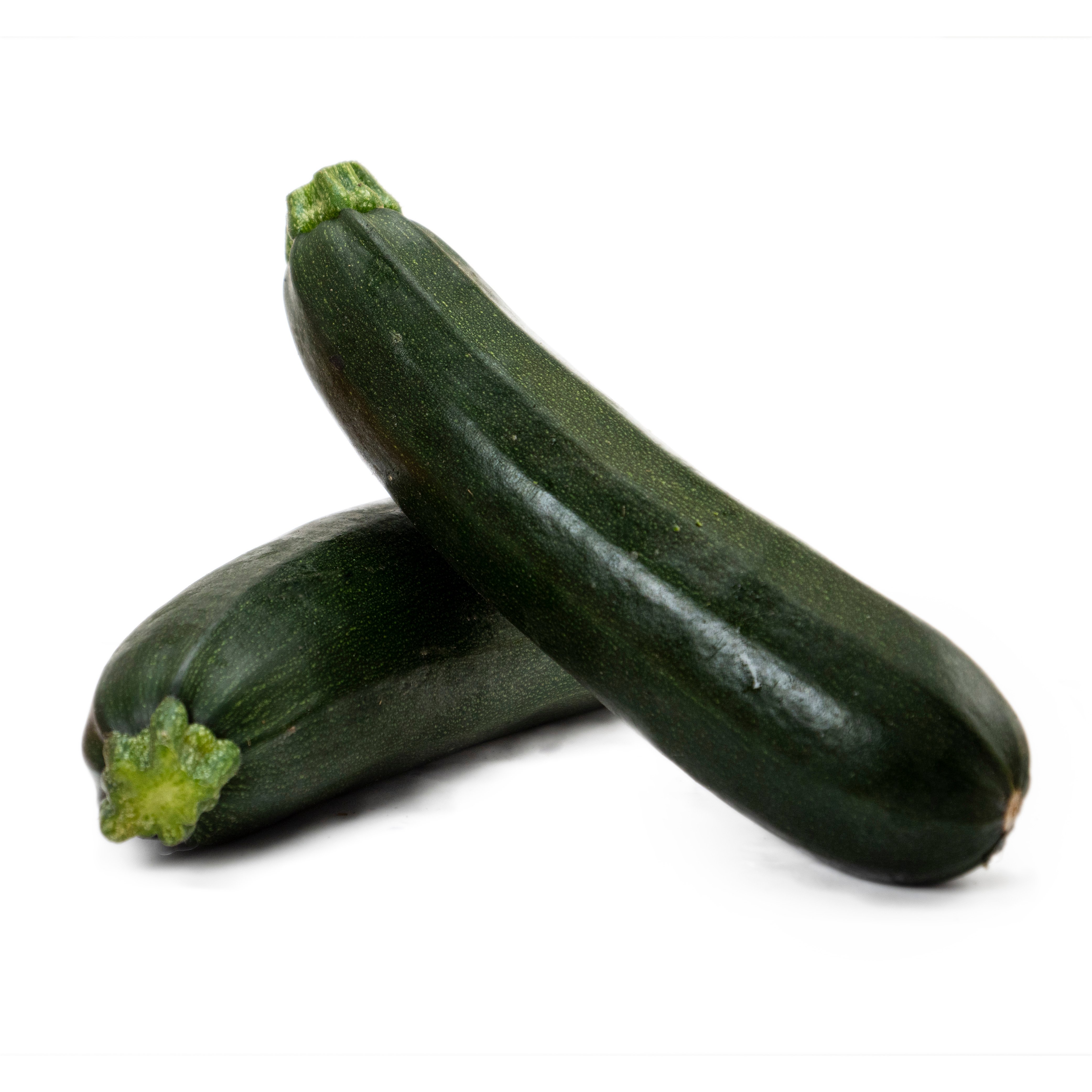 Zucchini Basic